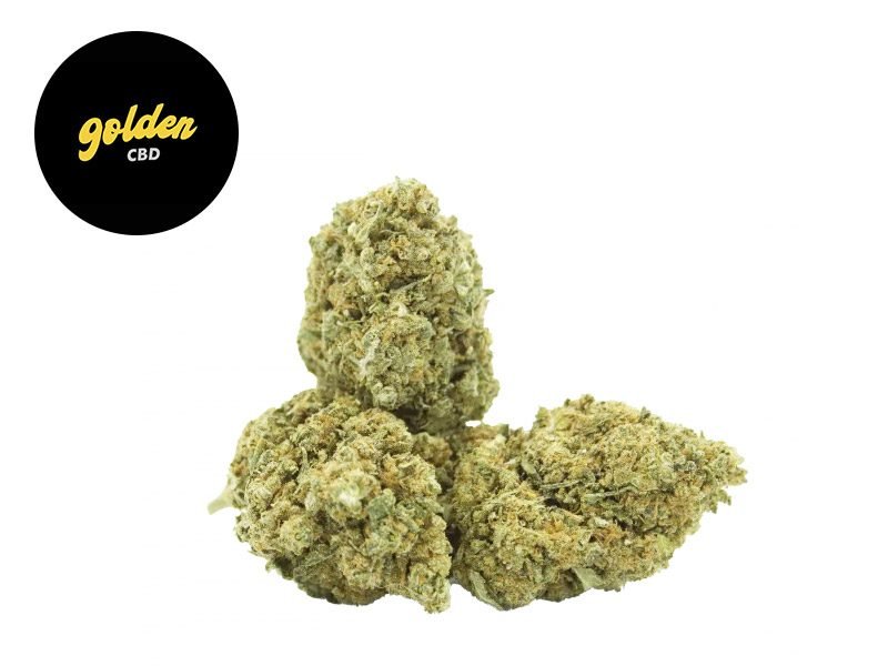 Fleurs CBD Fleur Gelato Kush CBD Indoor 4.3% Golden CBD