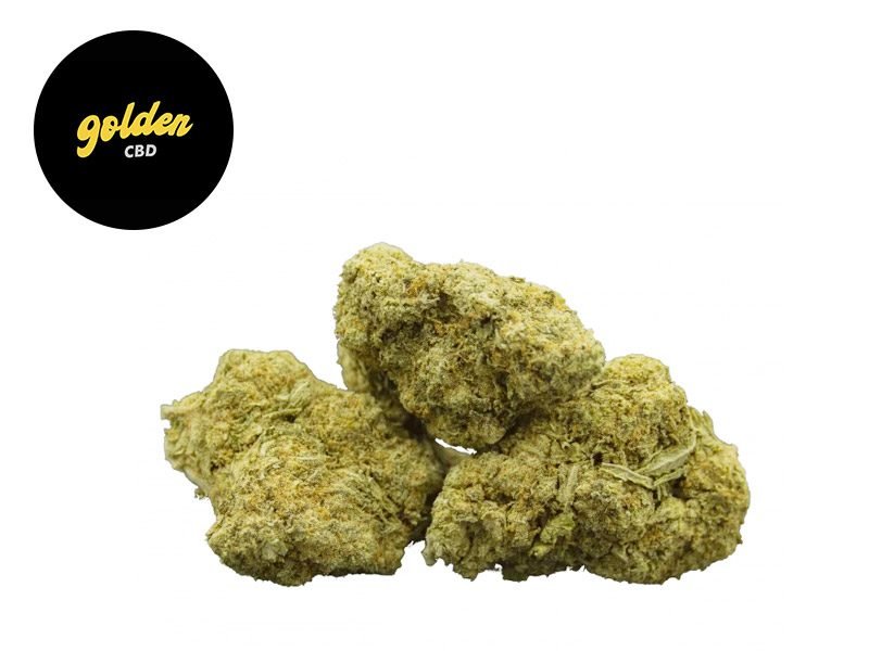 Fleurs CBD Fleur White Widow CBD Indoor 4% Golden CBD