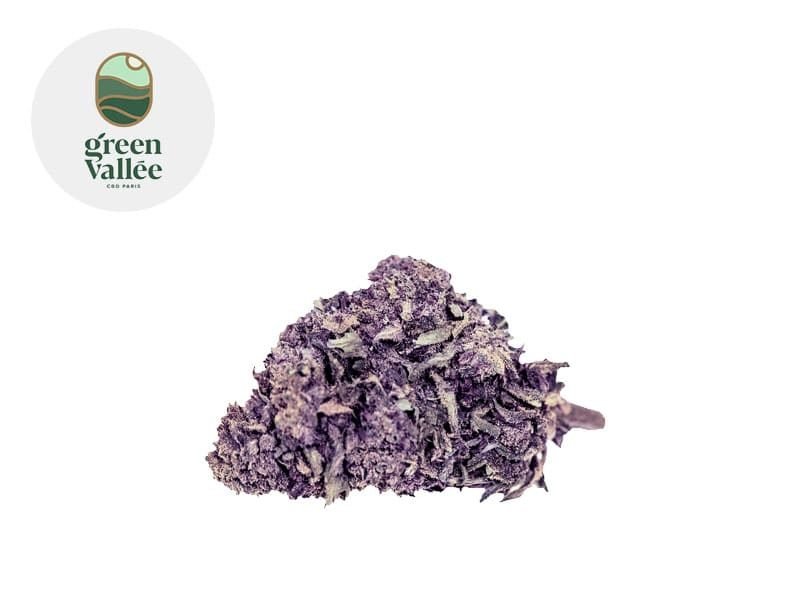 Fleurs CBD Fleur Purple Haze CBD Indoor 8% Green Vallée