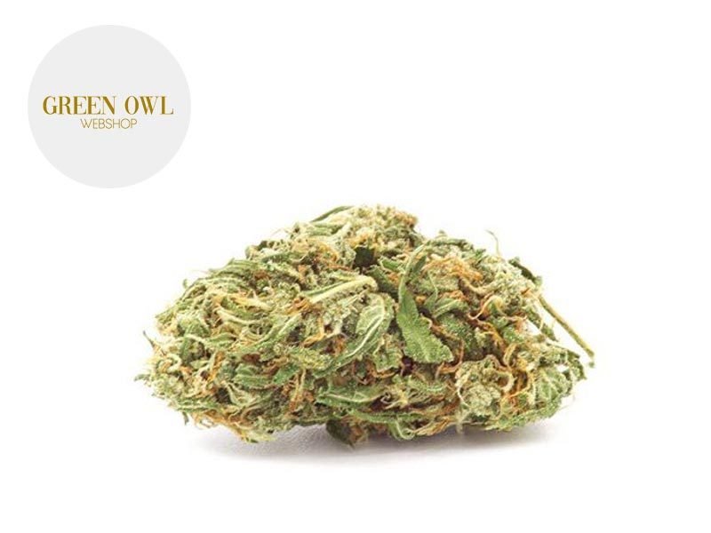 Fleurs CBD Fleur Critical CBG Indoor 10% Greenowl