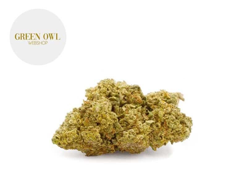 Fleurs CBD Fleur Gorilla Glue CBD Indoor 15% Greenowl