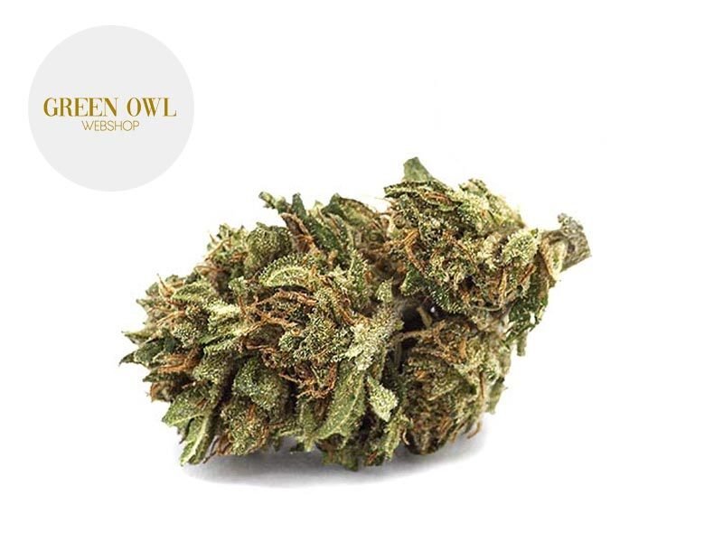 Fleurs CBD Fleur Orange Bud CBD Sous serre 15% Greenowl