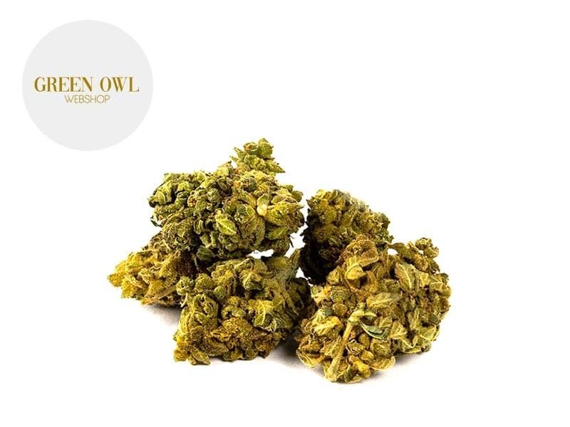 Fleurs CBD Fleur Orangello CBD Indoor 7% Greenowl