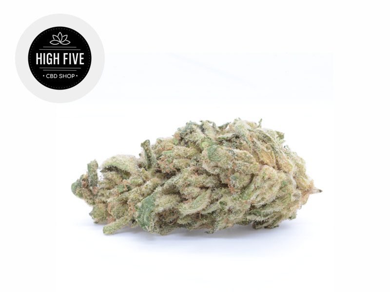 Fleurs CBD Fleur Gelato CBD Indoor 10% High Five
