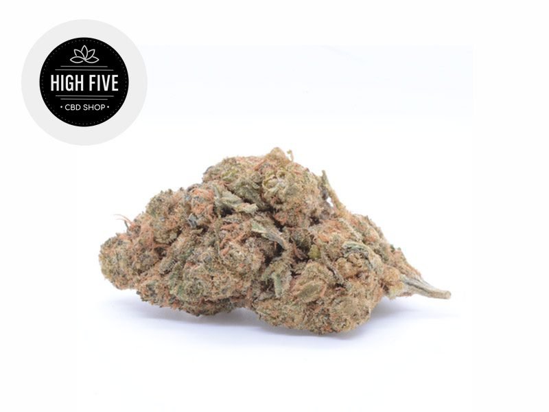 Fleurs CBD Fleur Jack Herer CBD Indoor 10.9% High Five