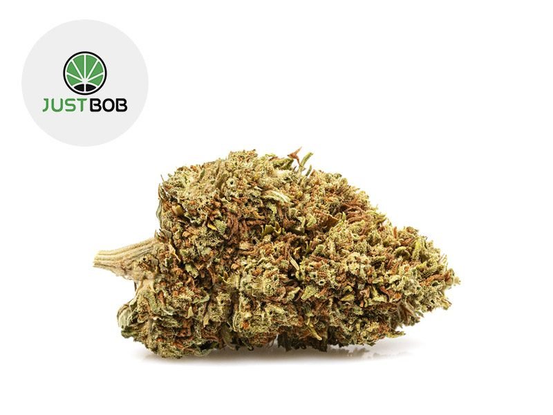 Fleurs CBD Fleur Do Si Dos CBD Indoor 19% JustBob