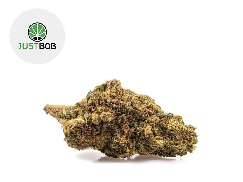 Fleurs CBD Fleur GG#4 CBD Boost Indoor 40% JustBob