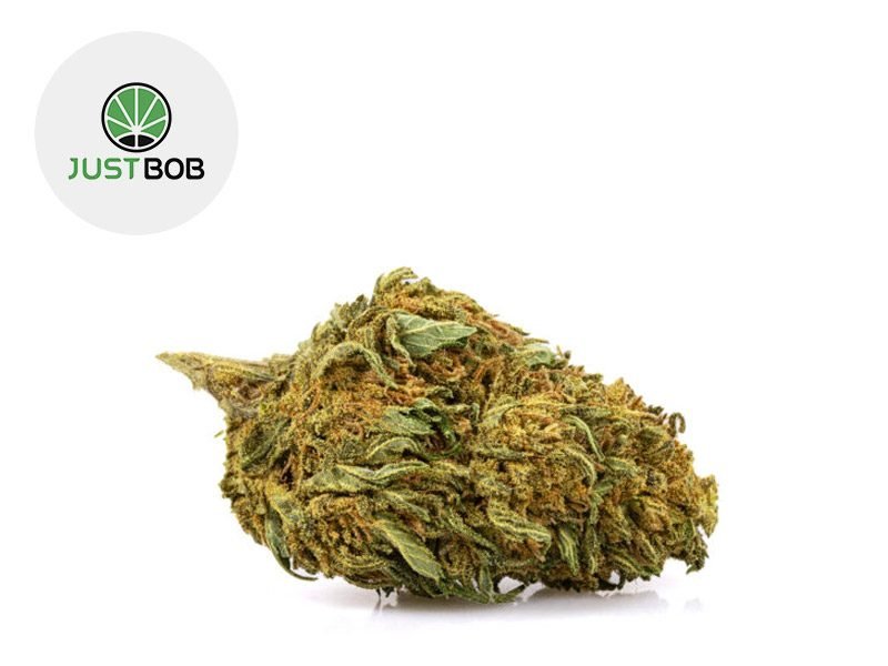 Fleurs CBD Fleur Lemon Cheese CBD Sous serre 16% JustBob
