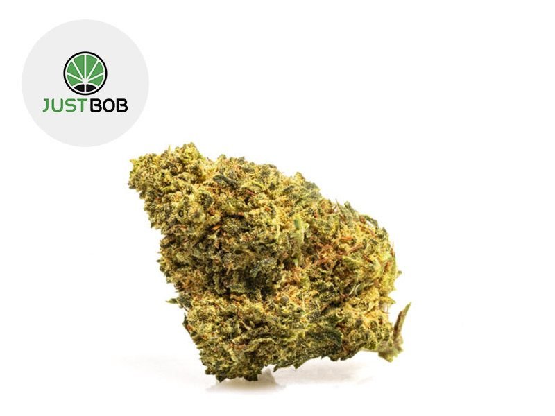 Fleurs CBD Fleur Master Kush CBD Sous serre 17.5% JustBob