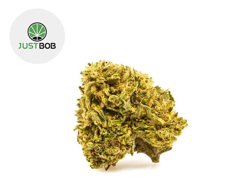 Fleurs CBD Fleur Melon Kush CBD Sous serre 16.5% JustBob