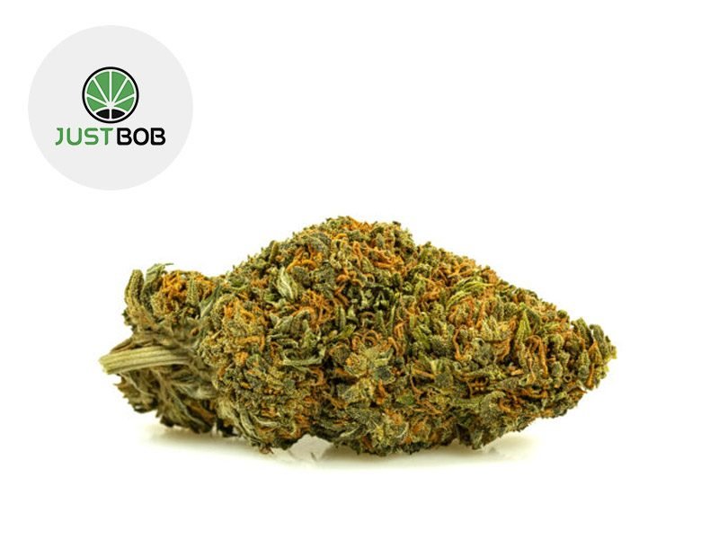Fleurs CBD Fleur Sweet Berry CBD Sous serre 18.5% JustBob