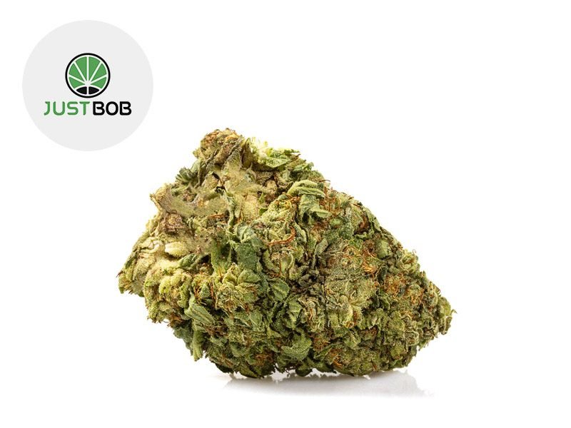 Fleurs CBD Fleur White Widow CBD Sous serre 18% JustBob