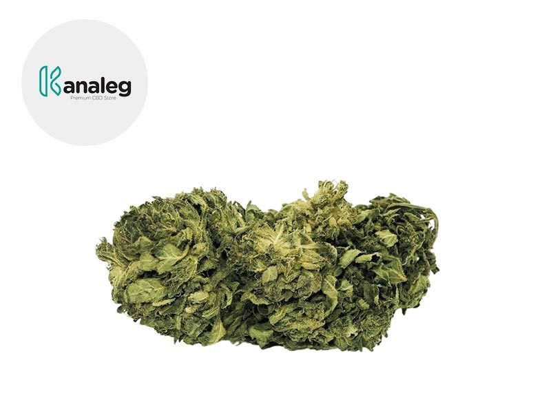 Fleurs CBD Fleur Amnesia Haze CBD Sous serre 5% Kanaleg