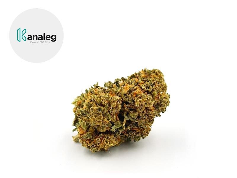 Fleurs CBD Fleur Cheese CBD Indoor 5.2% Kanaleg