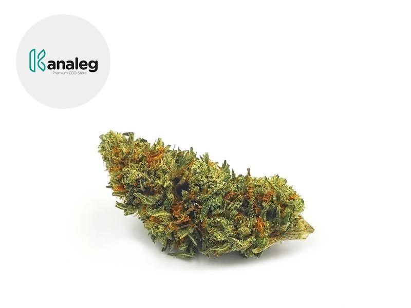 Fleurs CBD Fleur Tropical Haze CBD Indoor 4.7% Kanaleg