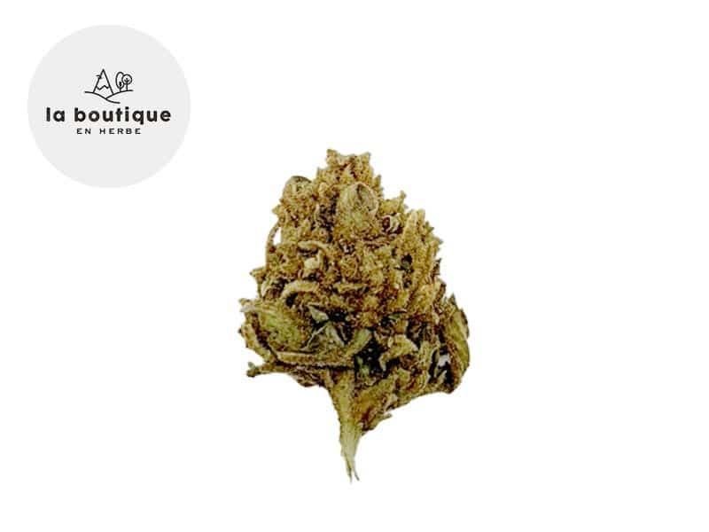 Fleurs CBD Fleur ACDC CBD Outdoor 6% La Boutique en Herbe