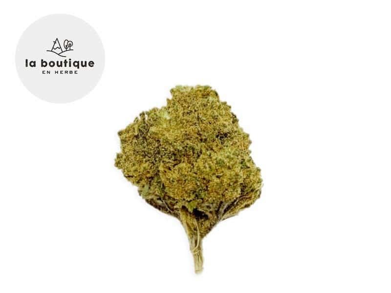Fleurs CBD Fleur Bubble Gum CBD Indoor 13.7% La Boutique en Herbe