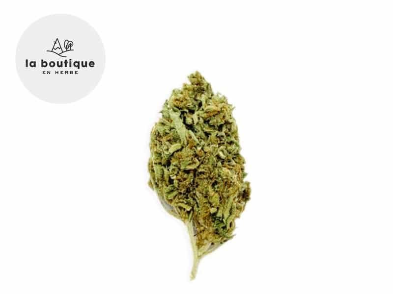 Fleurs CBD Fleur Cannatonic CBD Sous serre 4.3% La Boutique en Herbe