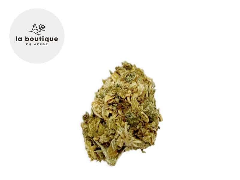 Fleurs CBD Fleur Harlequin CBD Indoor 3% La Boutique en Herbe
