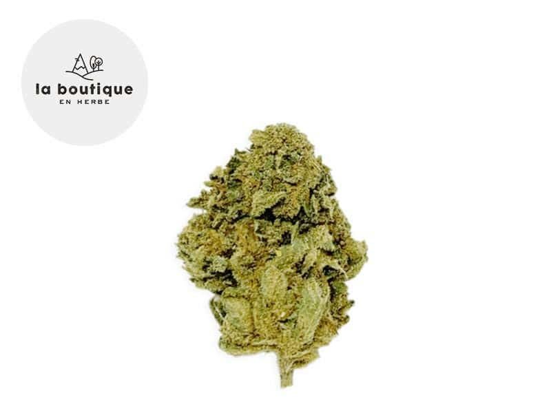 Fleurs CBD Fleur Master Kush CBD Indoor 4% La Boutique en Herbe