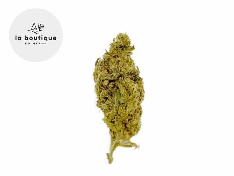 Fleurs CBD Fleur Orange Bud CBD Sous serre 14.5% La Boutique en Herbe