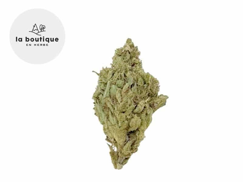 Fleurs CBD Fleur Super Silver Haze CBD Sous serre 10% La Boutique en Herbe
