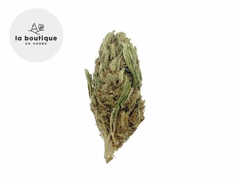 Fleurs CBD Fleur White Widow CBD Indoor 14% La Boutique en Herbe