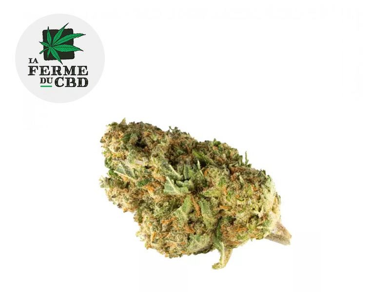 Fleurs CBD Fleur Amnesia CBD Indoor 14.5% La Ferme du CBD
