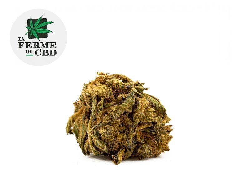 Fleurs CBD Fleur Choco CBD Sous serre 15% La Ferme du CBD