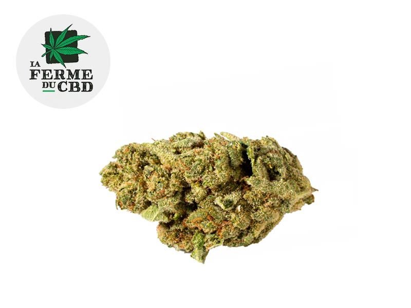 Fleurs CBD Fleur Chocolate Chip Cookie CBD Indoor 14% La Ferme du CBD