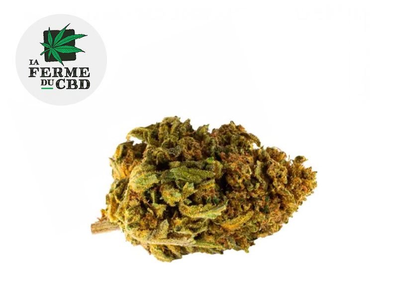 Fleurs CBD Fleur Cookie Kush CBD Outdoor 14% La Ferme du CBD