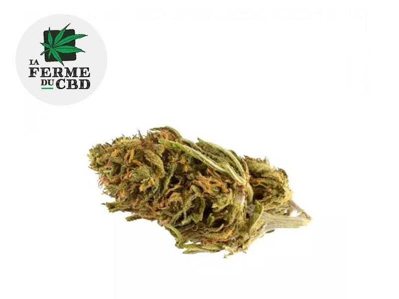 Fleurs CBD Fleur Critical CBD Outdoor 20% La Ferme du CBD