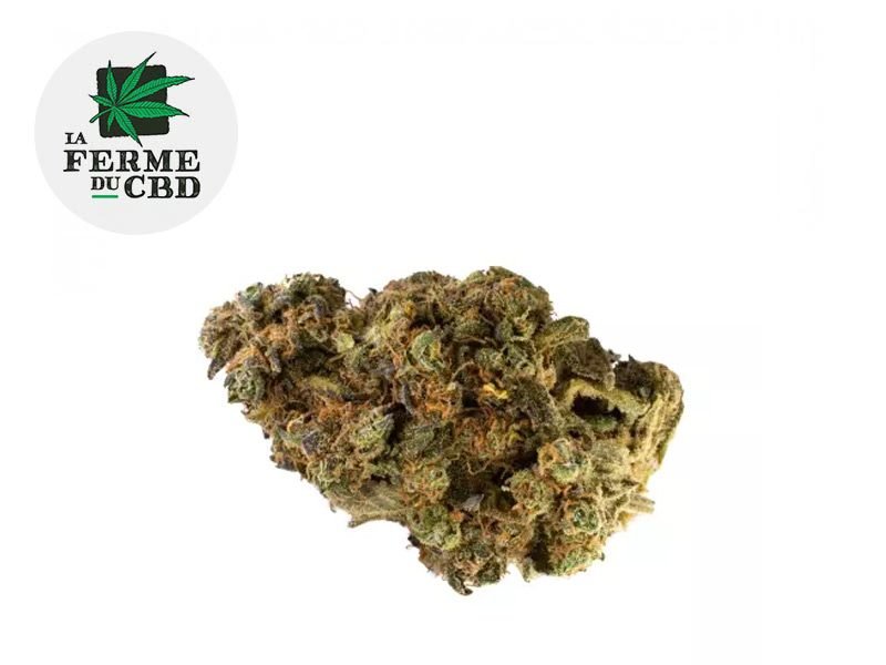 Fleurs CBD Fleur Gelato CBD Indoor 10% La Ferme du CBD