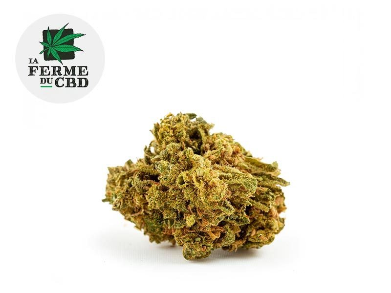 Fleurs CBD Fleur Great White Shark CBD Sous serre 15% La Ferme du CBD