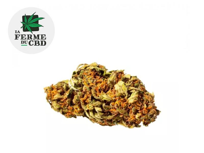 Fleurs CBD Fleur Harlequin CBD Indoor 15% La Ferme du CBD