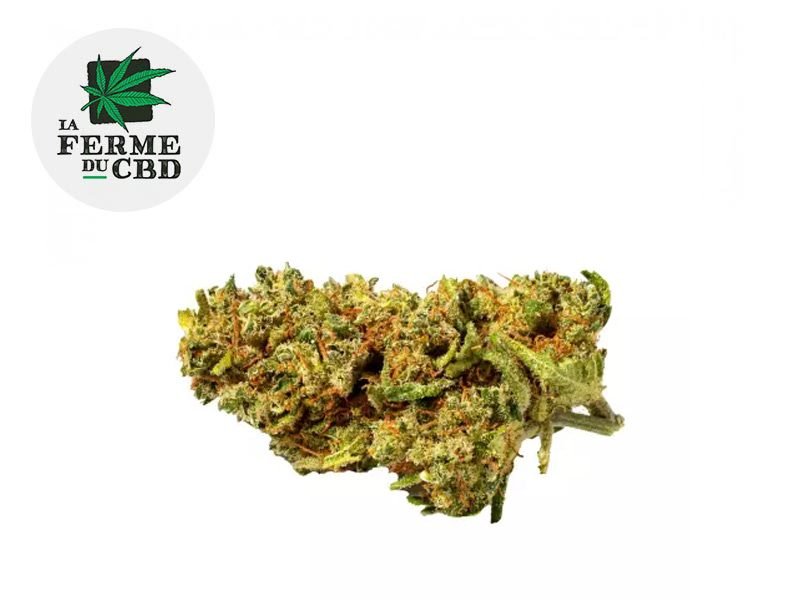 Fleurs CBD Fleur Lemon skunk CBD Indoor 13% La Ferme du CBD