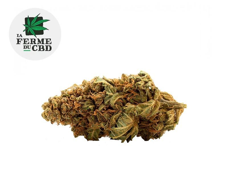 Fleurs CBD Fleur Mango CBD Indoor 14.5% La Ferme du CBD