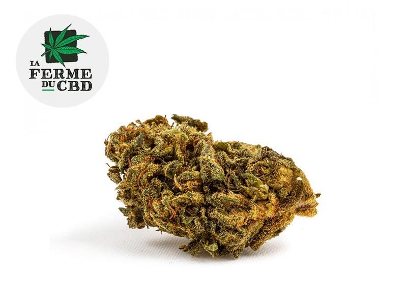 Fleurs CBD Fleur Master Kush CBD Outdoor 18% La Ferme du CBD