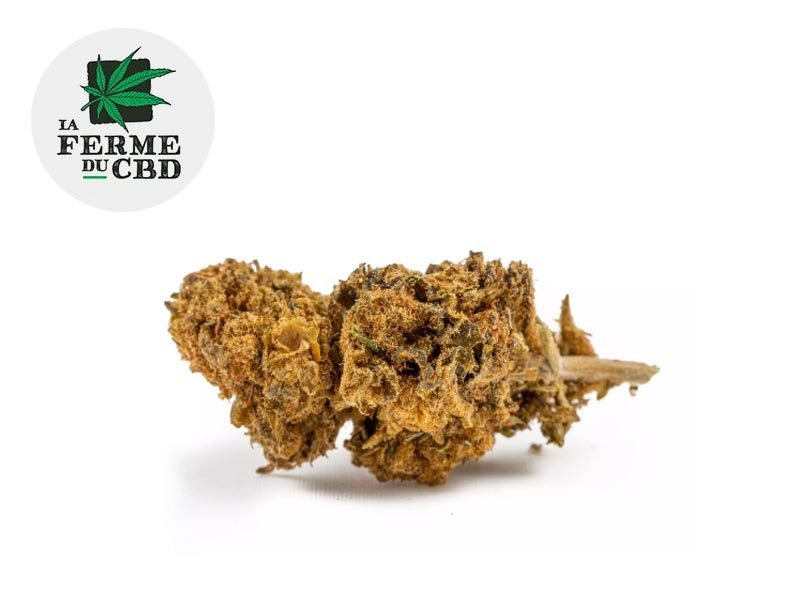 Fleurs CBD Fleur Passion CBD Outdoor 14% La Ferme du CBD
