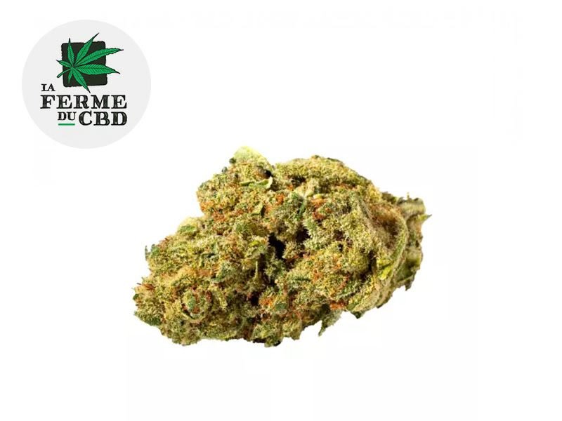 Fleurs CBD Fleur Pistachio CBD Indoor 13% La Ferme du CBD