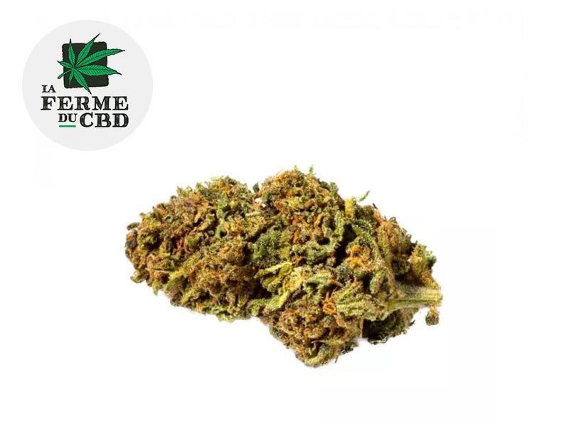 Fleurs CBD Fleur Strawberry CBD Indoor 13.5% La Ferme du CBD