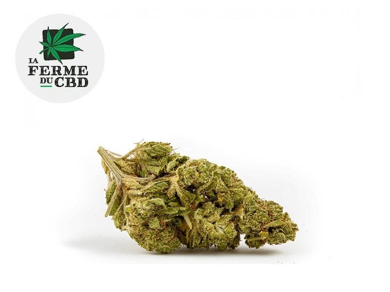 Fleurs CBD Fleur Super Lemon Haze CBD Indoor 21.5% La Ferme du CBD