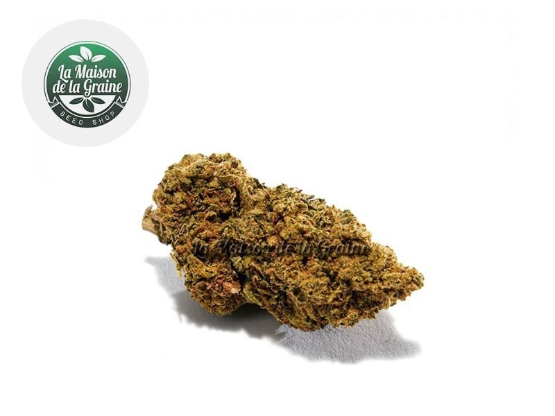 Fleurs CBD Fleur Gorilla Glue CBD Indoor 14% La Maison De La Graine