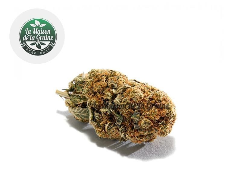 Fleurs CBD Fleur OG Kush CBD Indoor 16% La Maison De La Graine