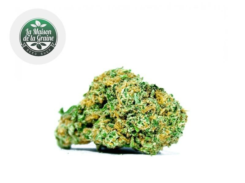 Fleurs CBD Fleur Super Lemon Haze CBD Indoor 15% La Maison De La Graine