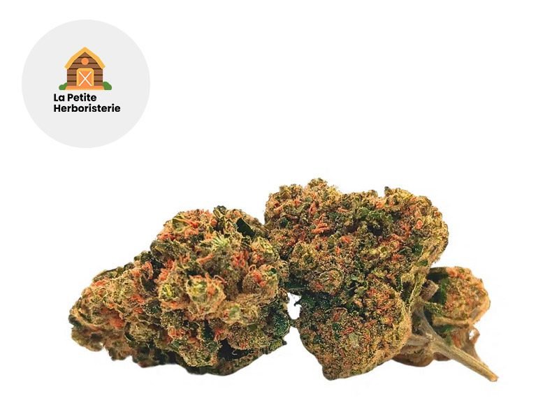 Fleurs CBD Fleur Alpine Delight 10-OH-HHC Sous serre 22% La Petite Herboristerie