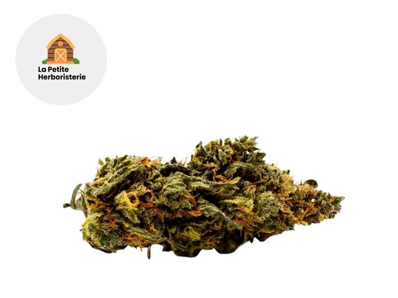 Fleurs CBD Fleur Amnesia Haze RAF Sous serre 22% La Petite Herboristerie