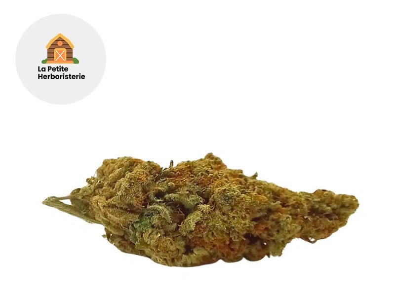 Fleurs CBD Fleur Black Lights 10-OH-HHC Sous serre 22% La Petite Herboristerie