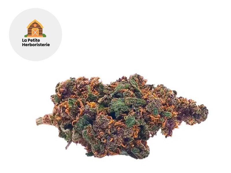 Fleurs CBD Fleur Buddha Fruit CBD Indoor 20% La Petite Herboristerie