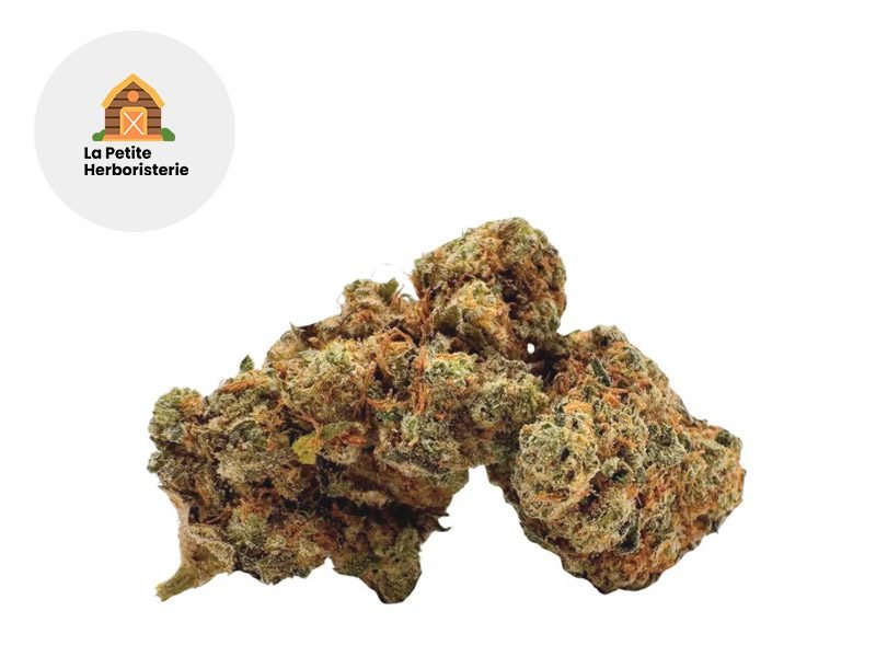Fleurs CBD Fleur Cannabubble CBD Indoor 20% La Petite Herboristerie